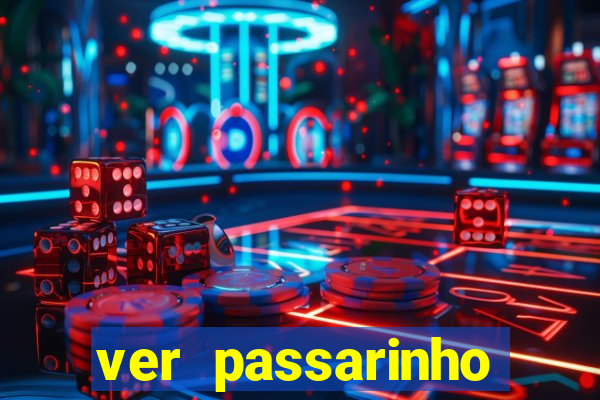 ver passarinho morto significado